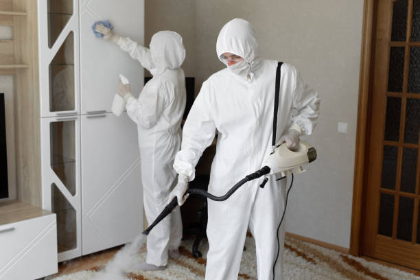Best HVAC Mold Remediation in Diamond Ridge, AK