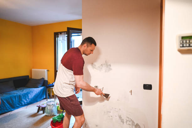 Professional Mold Remediation in Diamond Ridge, AK